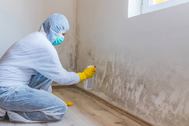 Hvac And Air Duct Mold Remediation inspection of HVAC system in Galesville