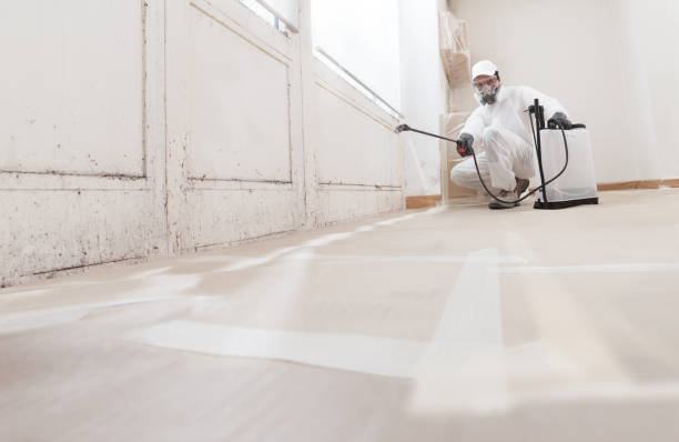 Black mold remediation team in Galesville